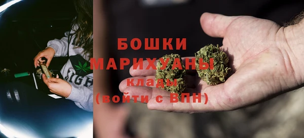 гидропоника Белокуриха