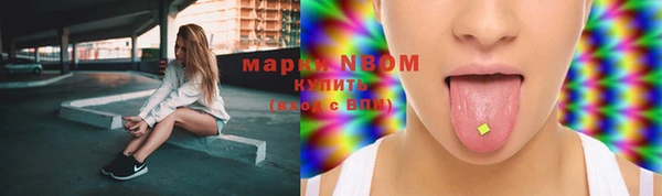 гидропоника Белокуриха
