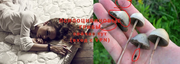 гидропоника Белокуриха