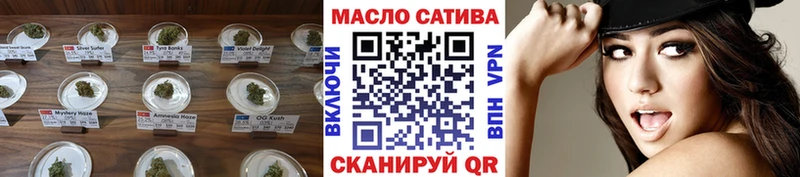 наркотики  Светогорск  ТГК Wax 