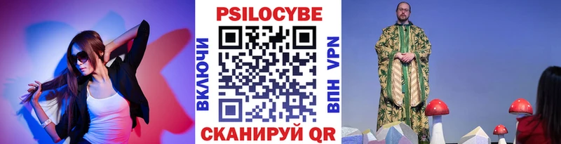 Галлюциногенные грибы Psilocybe  купить наркотик  Светогорск 